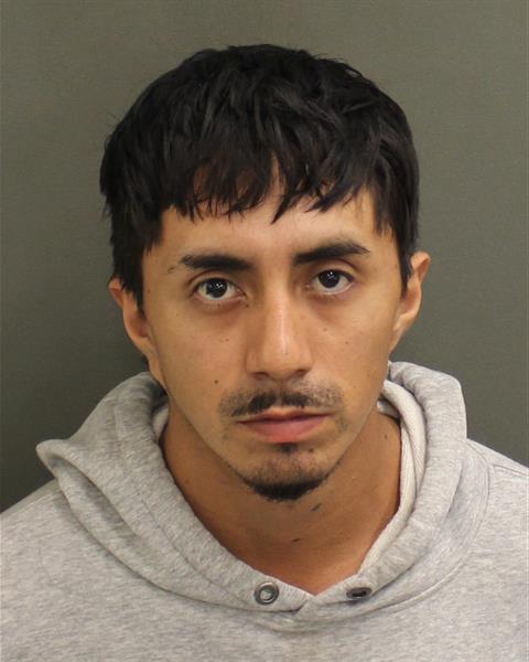  GALO ISRAEL PACHECOLOJANO Mugshot / County Arrests / Orange County Arrests