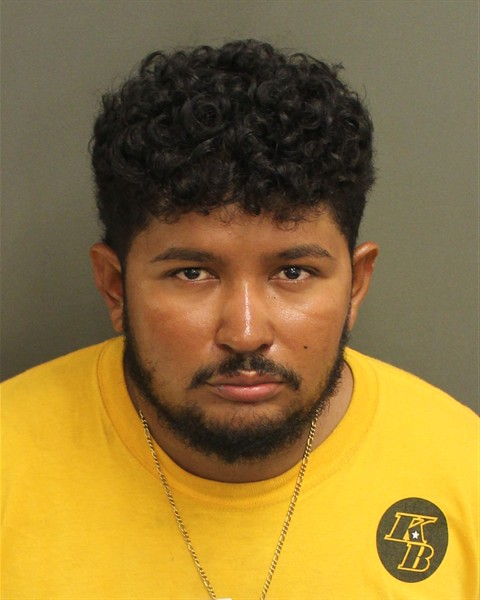  MAURO ELVIR Mugshot / County Arrests / Orange County Arrests