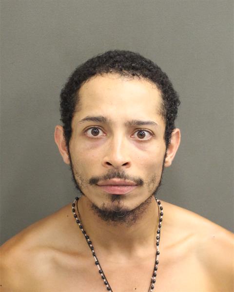  JULIO MANUEL TORRES Mugshot / County Arrests / Orange County Arrests