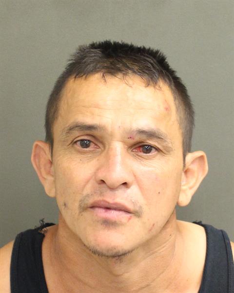  ANDY OSMIN PALMAPALMA Mugshot / County Arrests / Orange County Arrests
