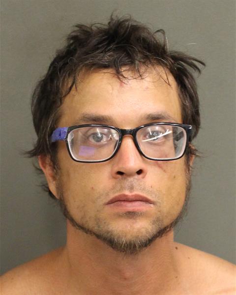  AARON NELSON HILDR FARRELL Mugshot / County Arrests / Orange County Arrests