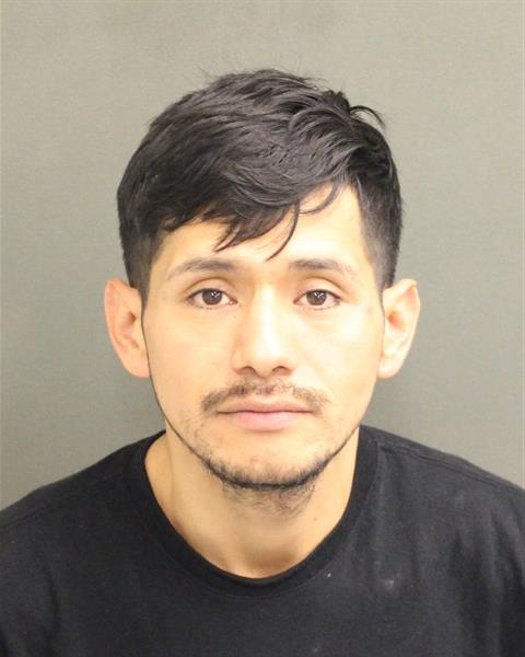  JOSE LUIS GONZALESSALVATIERRA Mugshot / County Arrests / Orange County Arrests