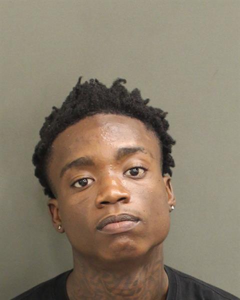  FRITZ ST FLEURANT Mugshot / County Arrests / Orange County Arrests