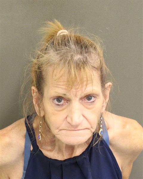  HEIDI MINOR WALKER Mugshot / County Arrests / Orange County Arrests
