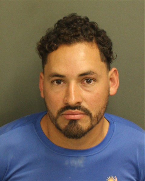  JOSE MAURICIO HENRIQUEZDUBON Mugshot / County Arrests / Orange County Arrests