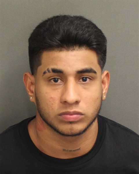  DEILER ALFREDO FLORES Mugshot / County Arrests / Orange County Arrests