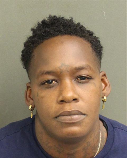  TERIKA BRENEA HAMILTON Mugshot / County Arrests / Orange County Arrests