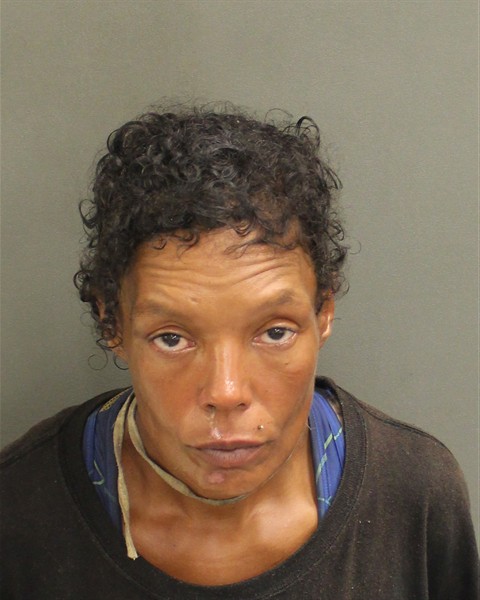  RACHEL SANCHEZ Mugshot / County Arrests / Orange County Arrests