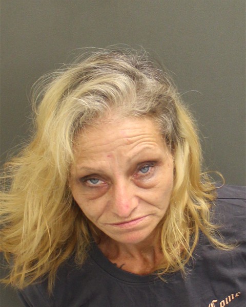  MICHELLE SHANNON HUDSON Mugshot / County Arrests / Orange County Arrests
