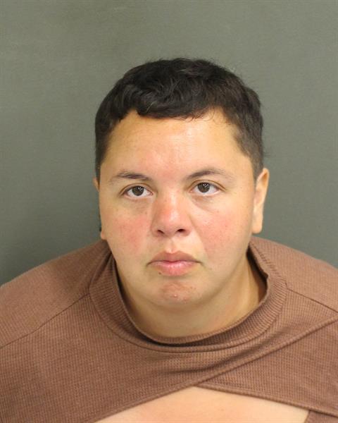  VANESSA GHLEANNA SERGE Mugshot / County Arrests / Orange County Arrests
