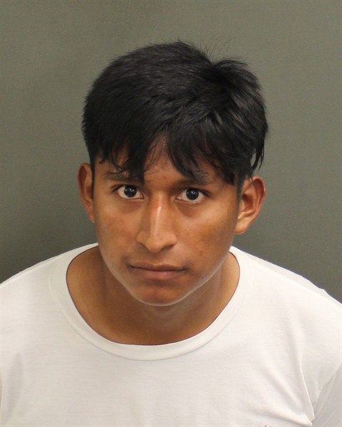OSCAR MEDARDO AVALOSLOPEZ Mugshot OSCAR MEDARDO AVALOSLOPEZ Mugshot / County Arrests / Orange County Arrests