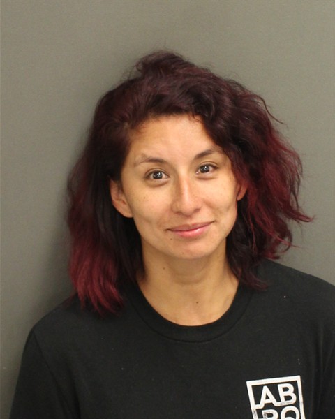  JENNY PINEROSLOPEZ Mugshot / County Arrests / Orange County Arrests