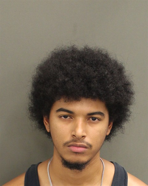 SHARIF MAHMOUD-DEEB LUTFI Mugshot SHARIF MAHMOUD-DEEB LUTFI Mugshot / County Arrests / Orange County Arrests
