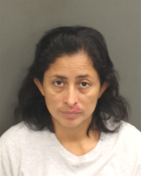  JESUS LORENA LOPEZAGUILAR Mugshot / County Arrests / Orange County Arrests