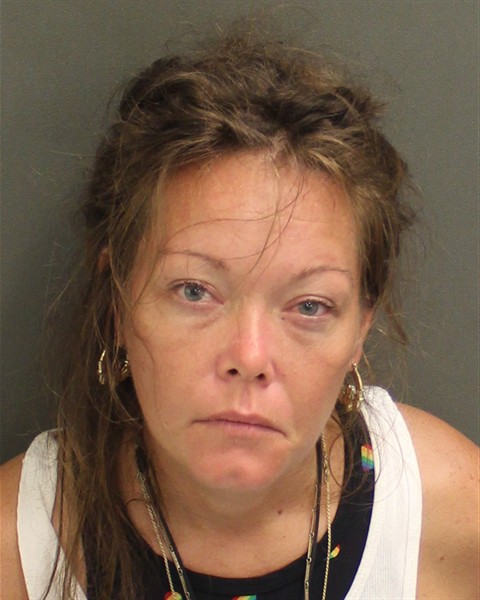  STEFANIE DANIELLE DOMENICO Mugshot / County Arrests / Orange County Arrests