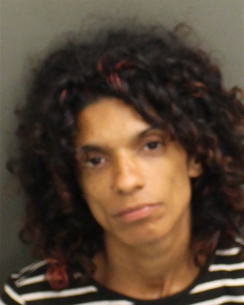  KAREN ELIZABETH VIGOREAUX Mugshot / County Arrests / Orange County Arrests