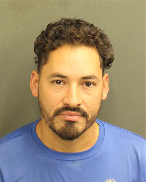  JOSE MAURICIO HENRIQUEZDUBEN Mugshot / County Arrests / Orange County Arrests