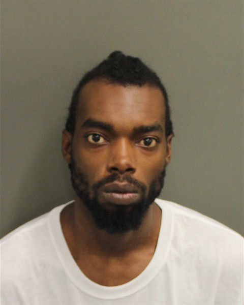  MICHAEL HAMILTON MANUEL Mugshot / County Arrests / Orange County Arrests
