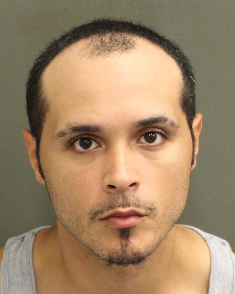  TEDDY J REYES Mugshot / County Arrests / Orange County Arrests