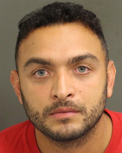  FEDERICO STRAUSSHERRERA Photo Image