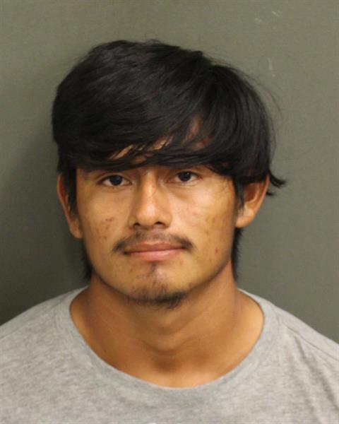  MELVIN RUBEIN LOPEZMENDEZ Photo Image