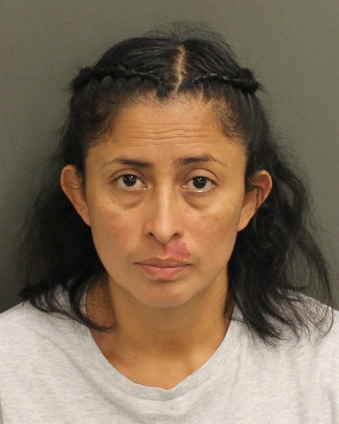  JESUS LORENA LOPEZAGUILAR Mugshot / County Arrests / Orange County Arrests