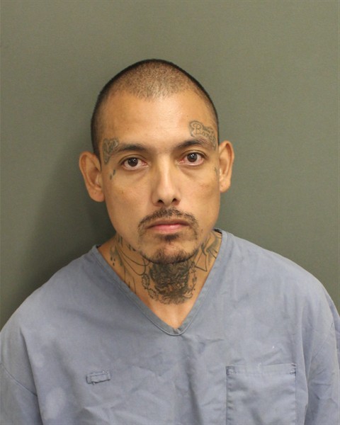  ADRIAN GARCIAMAGAYON Mugshot / County Arrests / Orange County Arrests