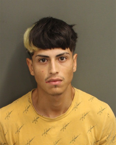  ALVARO RAMON ZAPATAESCAMILLA Mugshot / County Arrests / Orange County Arrests
