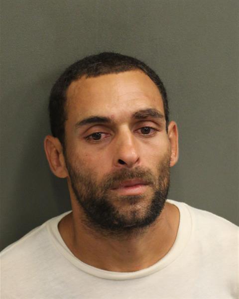  JESSE J POTILLO Photo Image