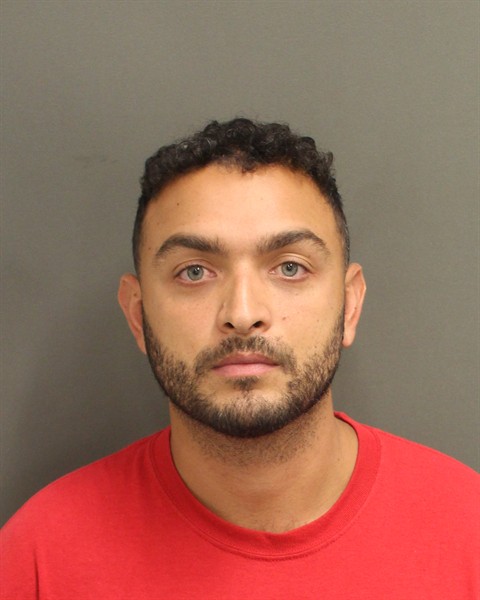 FEDERICO STRAUSSHERRERA Mugshot FEDERICO STRAUSSHERRERA Mugshot / County Arrests / Orange County Arrests
