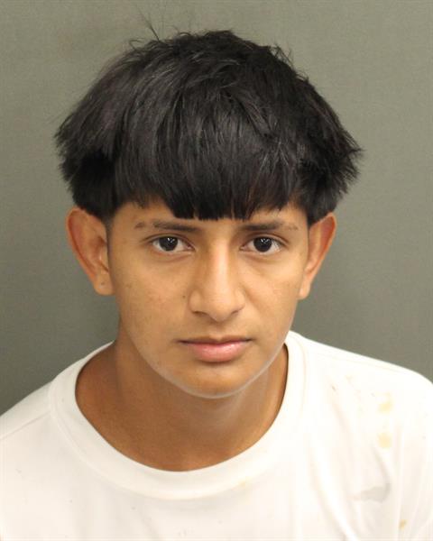  LUIS RICARDO MUNOZENAMORADO Mugshot / County Arrests / Orange County Arrests