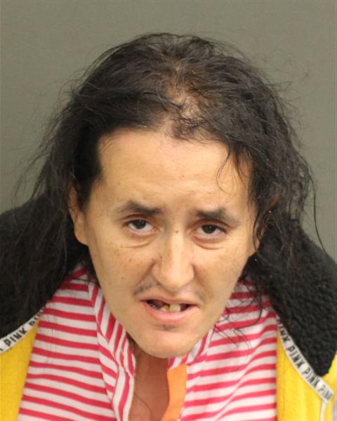  BRYONNE ARRIERAN SCHEMER Mugshot / County Arrests / Orange County Arrests