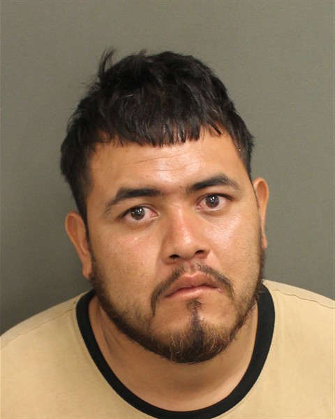  IVAN GUADALUPE ESTRADAAYALA Mugshot / County Arrests / Orange County Arrests