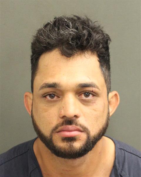  KELVIS DANIEL CASTILLOPEREZ Mugshot / County Arrests / Orange County Arrests