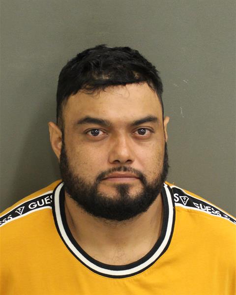  JOSE LOLALOLA Mugshot / County Arrests / Orange County Arrests