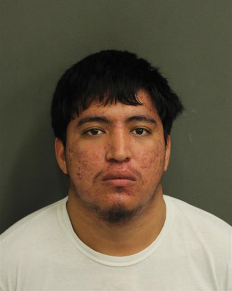  JOSE MIGUEL NIEVESFERRUZCA Photo Image