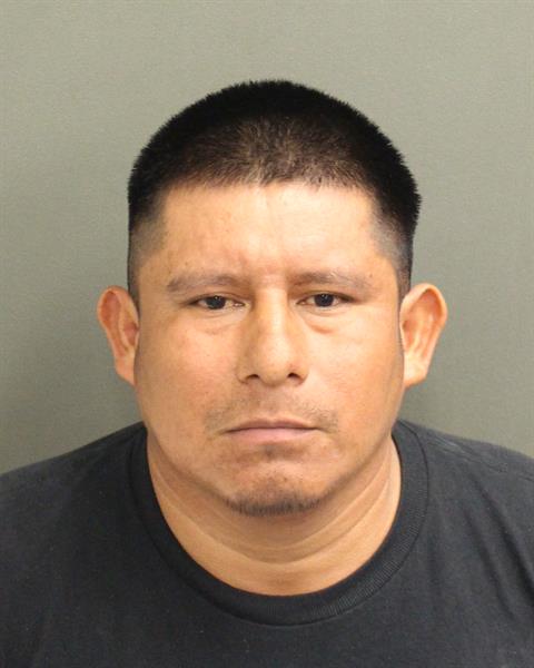  DOMINGO RAXXOL Photo Image