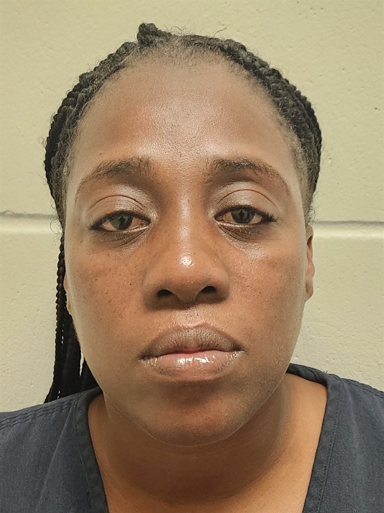  DANIELLE NICOLE LAMB Mugshot / County Arrests / Orange County Arrests