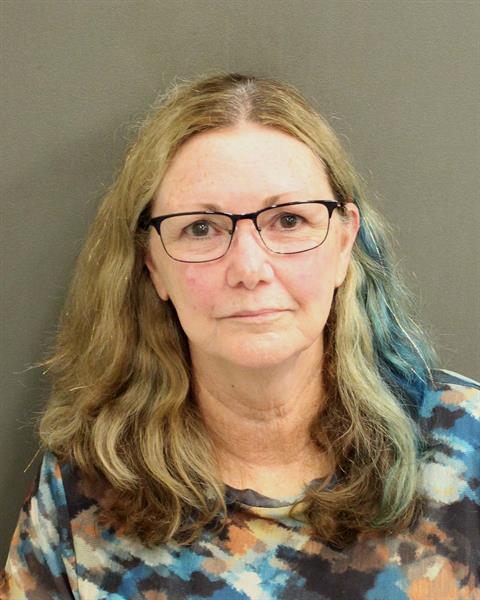  CLAUDIA ANN WHITE Mugshot / County Arrests / Orange County Arrests