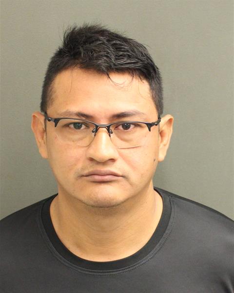  JORGE LUIS PANALARREAL Mugshot / County Arrests / Orange County Arrests