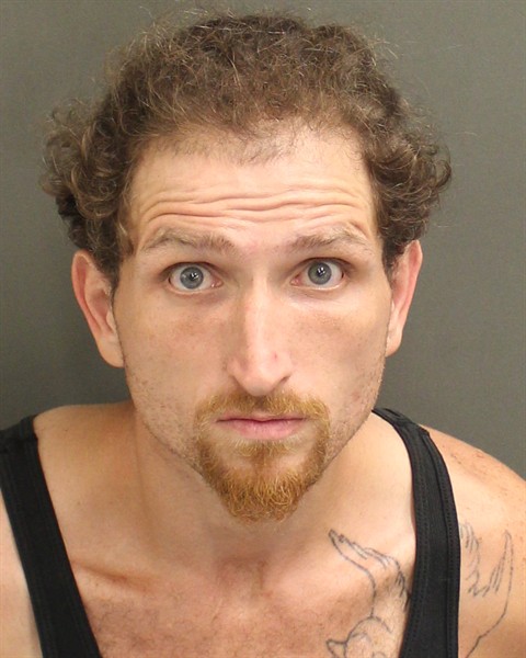  DYLLAN M MALKA Mugshot / County Arrests / Orange County Arrests