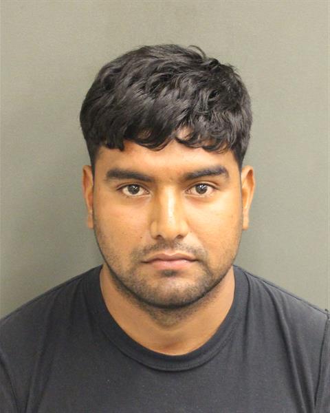  LUIS DAVID BERNALVILLEGAS Mugshot / County Arrests / Orange County Arrests