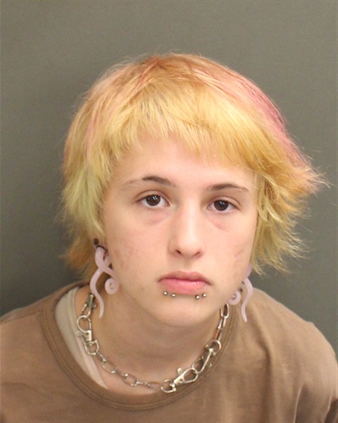  HANNAH MARGARET TUCKER Mugshot / County Arrests / Orange County Arrests