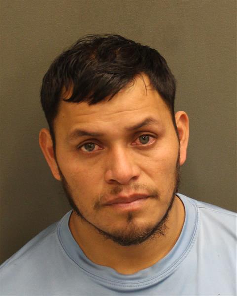  ALBIN EGIDIO MIRANDAVELASQUEZ Mugshot / County Arrests / Orange County Arrests