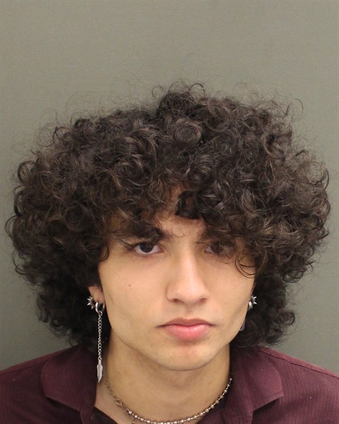  CARLOS ALEJANDRO MARTINEZANGELWETTERE Mugshot / County Arrests / Orange County Arrests