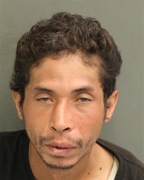  NEIL WAGNER ARCE Photo Image