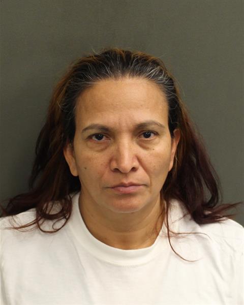  FATIMA DELSOCORRO ROCHA Mugshot / County Arrests / Orange County Arrests