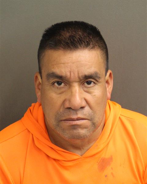  JOSE ISMAEL VELASCOCASTELLANOS Mugshot / County Arrests / Orange County Arrests
