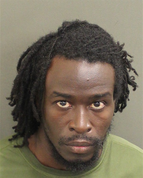  FRANCOIS NICOLAS Mugshot / County Arrests / Orange County Arrests