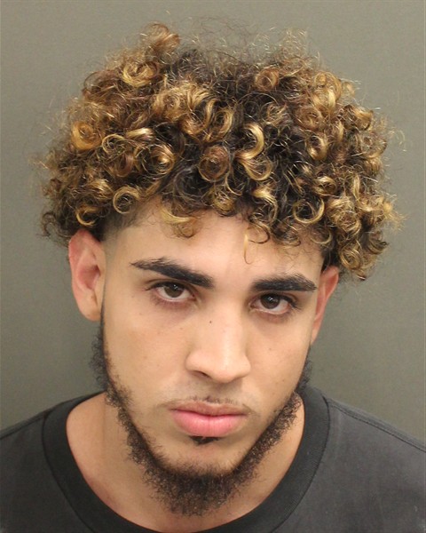  CHRISTIAN ALFREDO GALLORUIZ Mugshot / County Arrests / Orange County Arrests